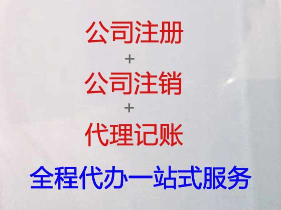 南京专业注册公司代办电话,代办申请电子公司注册,代办会计审计